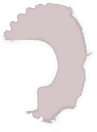 Ruedas guía Komatsu