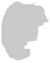 Ruedas dentadas Komatsu